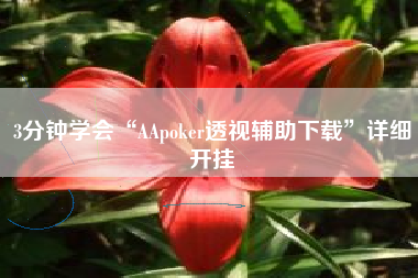 3分钟学会“AApoker透视辅助下载”详细开挂
