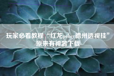 玩家必看教程“红龙poker德州透视挂”原来有神器下载