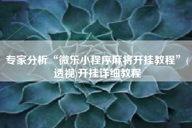 专家分析“微乐小程序麻将开挂教程	”(透视)开挂详细教程