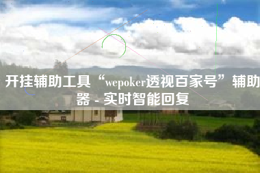 开挂辅助工具“wepoker透视百家号”辅助器 - 实时智能回复
