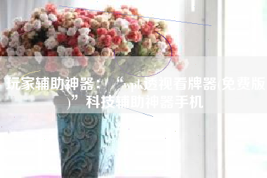 玩家辅助神器：“wpk透视看牌器(免费版)	”科技辅助神器手机