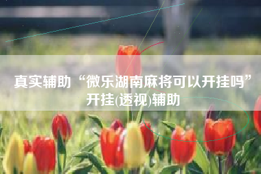 真实辅助“微乐湖南麻将可以开挂吗	”开挂(透视)辅助