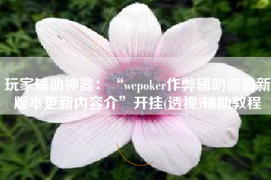 玩家辅助神器：“wepoker作弊辅助器最新版本更新内容介”开挂(透视)辅助教程