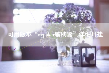可用版本“wepoker辅助器	”详细开挂