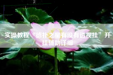 实操教程“德扑之星有没有透视挂”开挂辅助详细