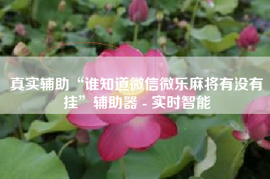 真实辅助“谁知道微信微乐麻将有没有挂”辅助器 - 实时智能