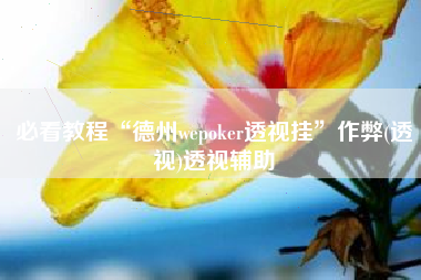 必看教程“德州wepoker透视挂”作弊(透视)透视辅助