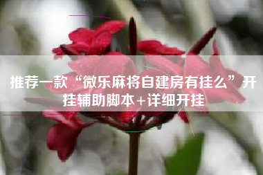 推荐一款“微乐麻将自建房有挂么”开挂辅助脚本+详细开挂