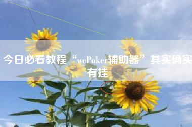 今日必看教程“wePoker辅助器”其实确实有挂