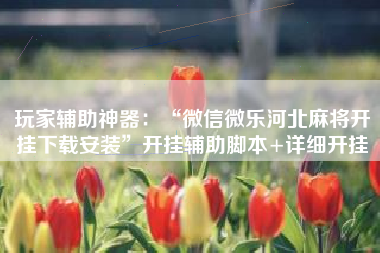 玩家辅助神器：“微信微乐河北麻将开挂下载安装	”开挂辅助脚本+详细开挂