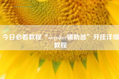 今日必看教程“wepoker辅助器”开挂详细教程