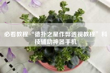 必看教程“德扑之星作弊透视教程	”科技辅助神器手机