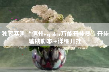 独家实测“德州wepoker万能开挂器	”开挂辅助脚本+详细开挂