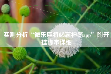 实测分析“微乐麻将必赢神器app	”附开挂脚本详细