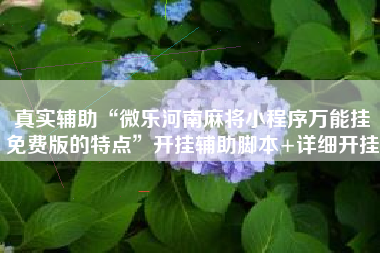 真实辅助“微乐河南麻将小程序万能挂免费版的特点”开挂辅助脚本+详细开挂