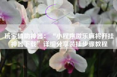 玩家辅助神器：“小程序微乐麻将开挂神器下载”详细分享装挂步骤教程