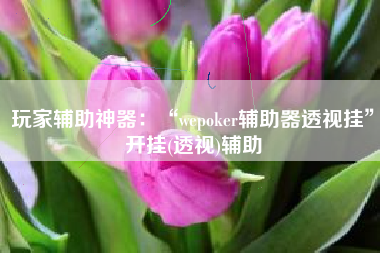 玩家辅助神器：“wepoker辅助器透视挂”开挂(透视)辅助