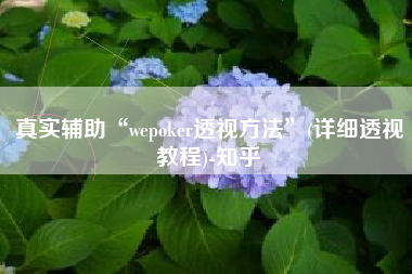 真实辅助“wepoker透视方法”(详细透视教程)-知乎