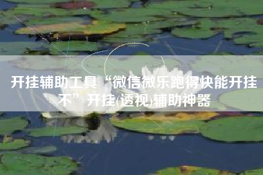 开挂辅助工具“微信微乐跑得快能开挂不”开挂(透视)辅助神器