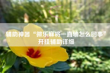 辅助神器“微乐麻将一直输怎么回事	”开挂辅助详细