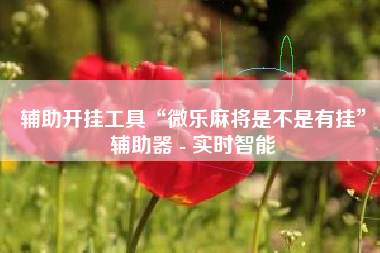 辅助开挂工具“微乐麻将是不是有挂”辅助器 - 实时智能