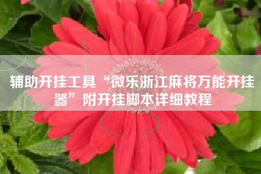 辅助开挂工具“微乐浙江麻将万能开挂器”附开挂脚本详细教程