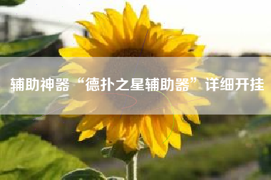 辅助神器“德扑之星辅助器”详细开挂