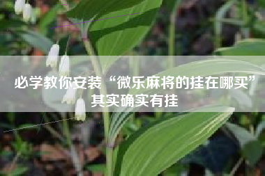 必学教你安装“微乐麻将的挂在哪买”其实确实有挂