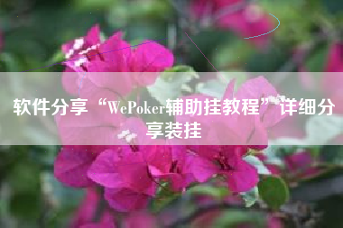 软件分享“WePoker辅助挂教程”详细分享装挂