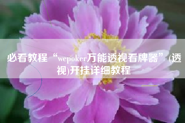 必看教程“wepoker万能透视看牌器”(透视)开挂详细教程