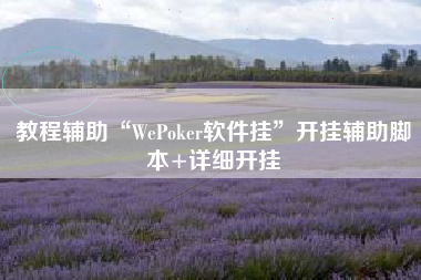 教程辅助“WePoker软件挂”开挂辅助脚本+详细开挂