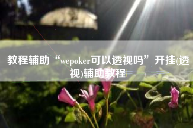 教程辅助“wepoker可以透视吗”开挂(透视)辅助教程