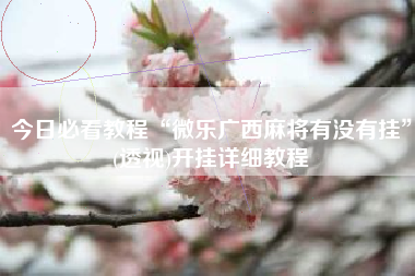 今日必看教程“微乐广西麻将有没有挂”(透视)开挂详细教程