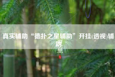 真实辅助“德扑之星辅助	”开挂(透视)辅助
