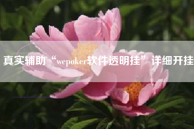 真实辅助“wepoker软件透明挂”详细开挂