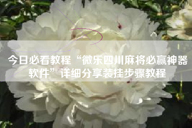 今日必看教程“微乐四川麻将必赢神器软件”详细分享装挂步骤教程
