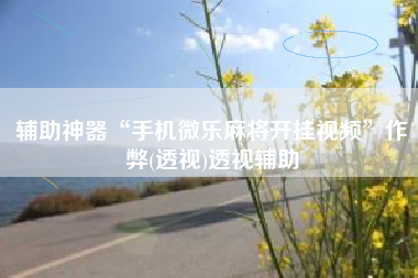 辅助神器“手机微乐麻将开挂视频”作弊(透视)透视辅助