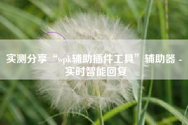 实测分享“wpk辅助插件工具”辅助器 - 实时智能回复