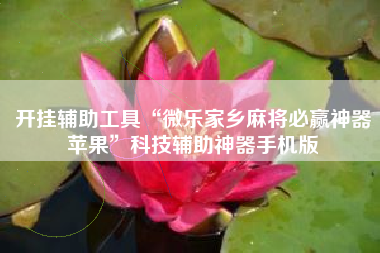 开挂辅助工具“微乐家乡麻将必赢神器苹果”科技辅助神器手机版