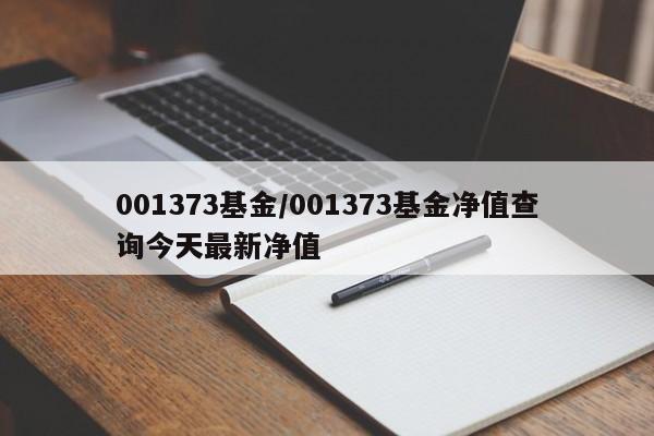 001373基金/001373基金净值查询今天最新净值
