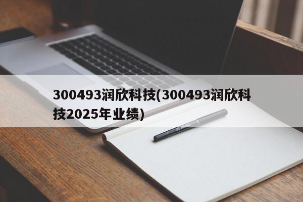 300493润欣科技(300493润欣科技2025年业绩)